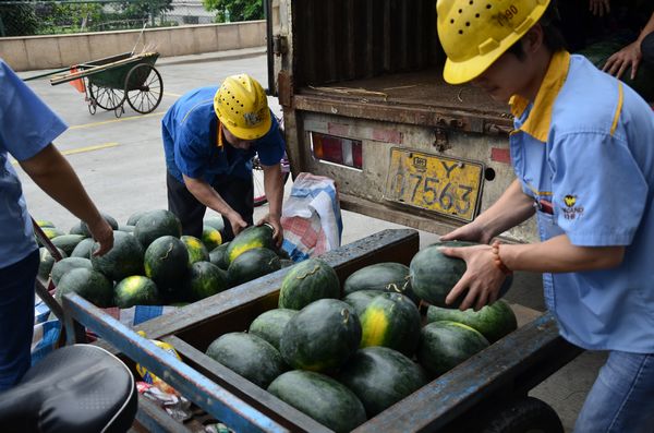 西瓜杀到，炎暑难挡
