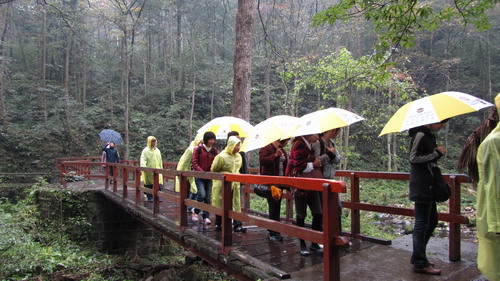 我公司组织部门员工张家界，凤凰古城四日游