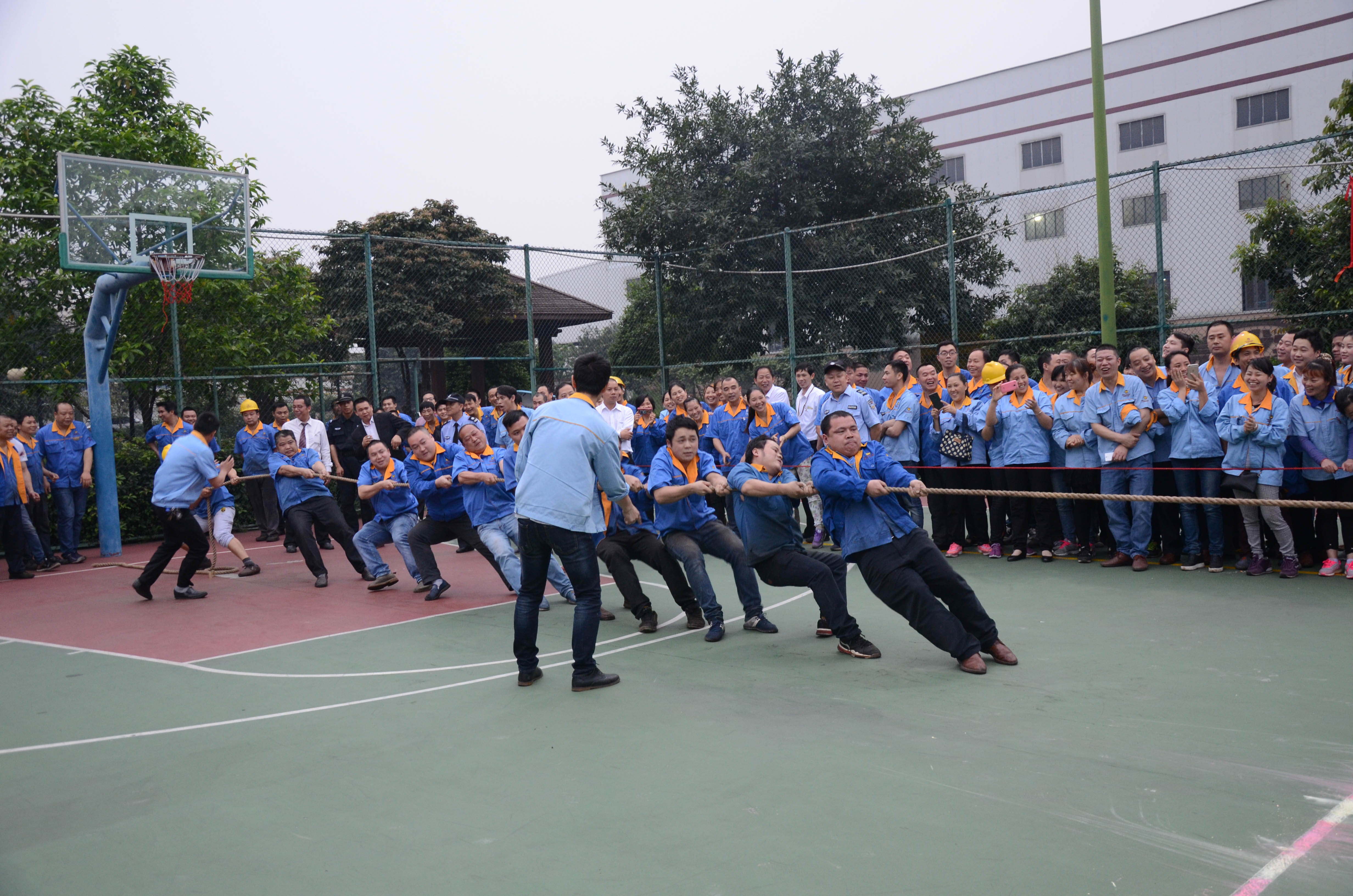 福鹿会·F6(中国)最新官方网站