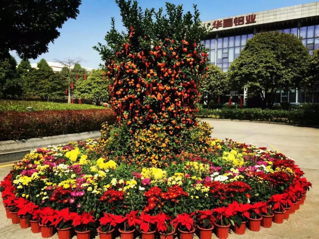 福鹿会·F6(中国)最新官方网站