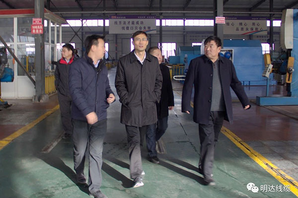 省市场羁系局局长金洪钧调研新葡的京集团350vip8888