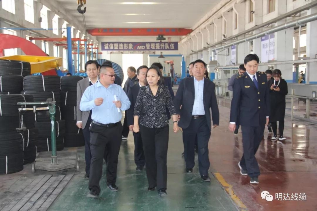 河北省市场羁系局党组书记丁锦霞莅临新葡的京集团350vip8888考察调研