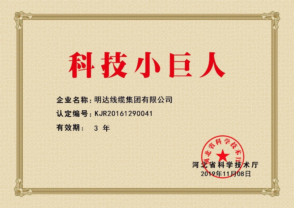 新葡的京集团350vip8888线缆被认定为河北省科技小巨人企业